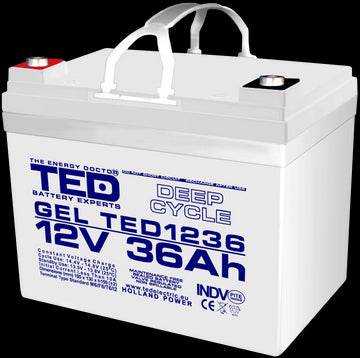 Acumulator AGM VRLA 12V 36Ah Plumb GEL Deep Cycle 195x128x155 mm M6 terminal TED Battery Expert Holland