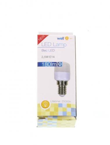 Bec cu led ST26 E14 2.5W 230V lumina rece Well