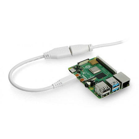 Cablu adaptor HDMI mama - micro HDMI tata 0.235m alb RASPBERRY 789RP-19040302